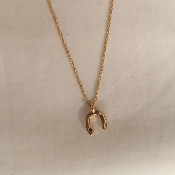 NEW WREN Horseshoe Pendant Necklace 14k Gold Plated Sapphire Chip - Image 2