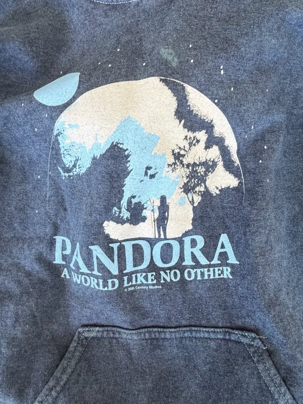 Disney’s Pandora Hoodie - Image 2