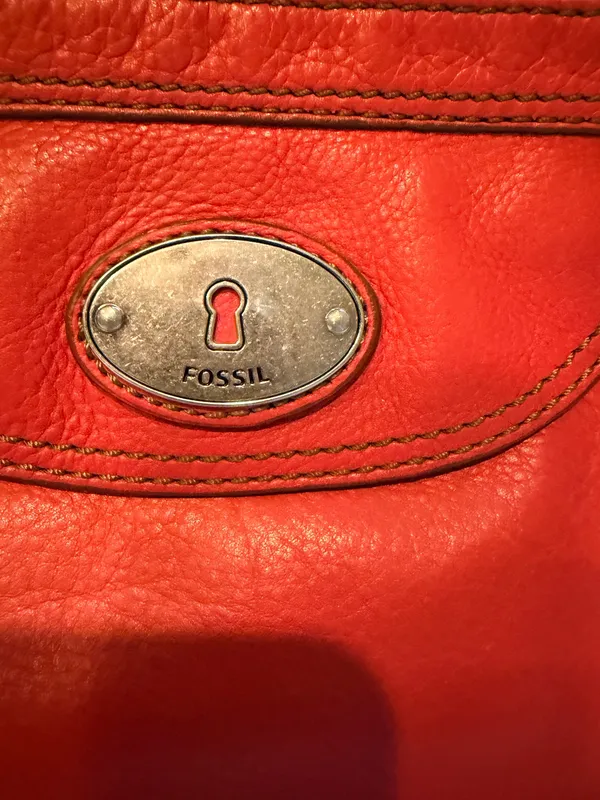 Fossil Crossbody - Image 2