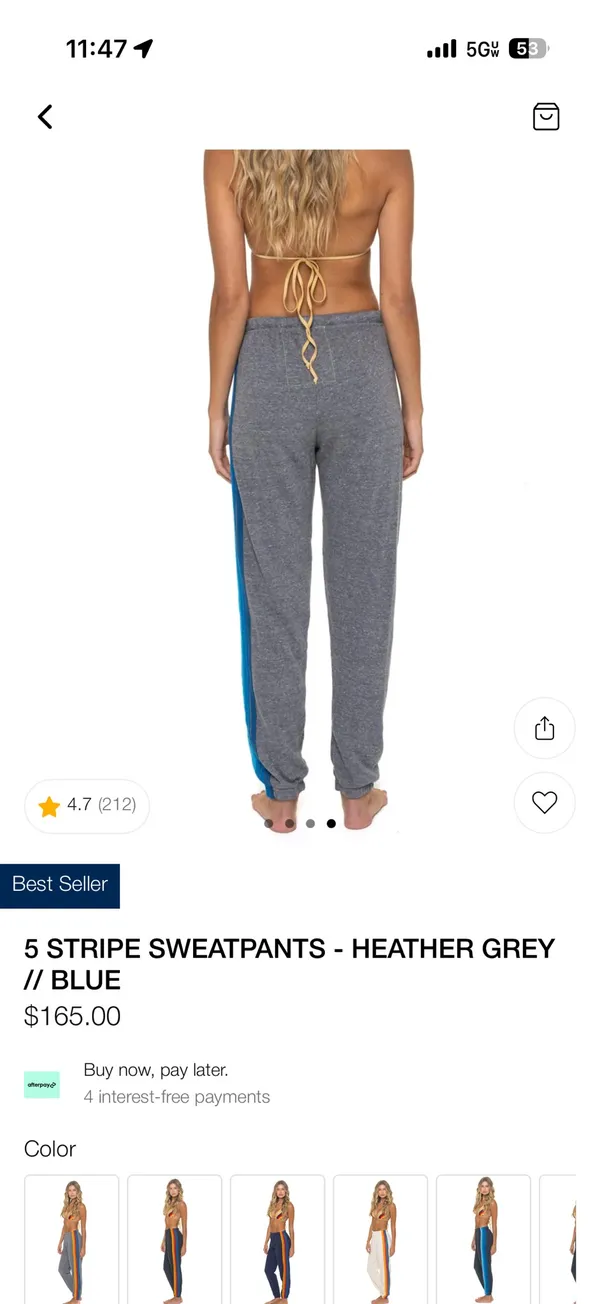 Aviator Nation Sweatpants - Image 3