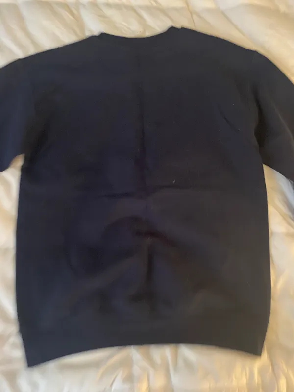 Gildan Michigan Sweatshirt - Image 2
