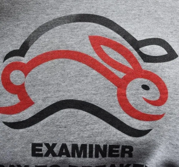 Fruit of the Loom San Francisco Examiner Bay To Breakers Sweatshirt - Image 6