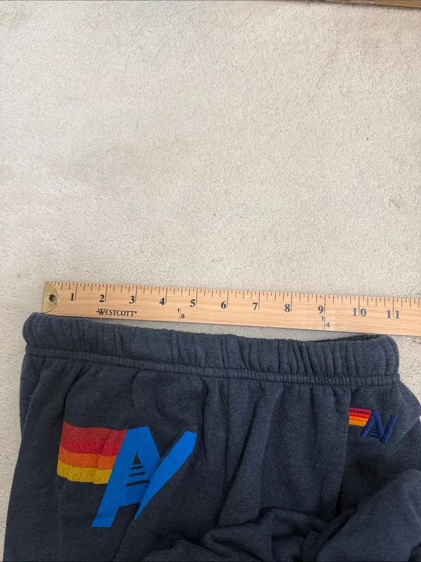 Aviator Nation Rainbow Logo Charcoal Cozy Sweatpants Size Small - Image 11