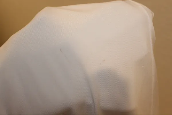 White Backless Gown - Image 4