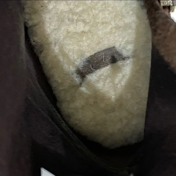 UGG Australia Brown Suede Bianka Heeled Booties 8 - Image 12