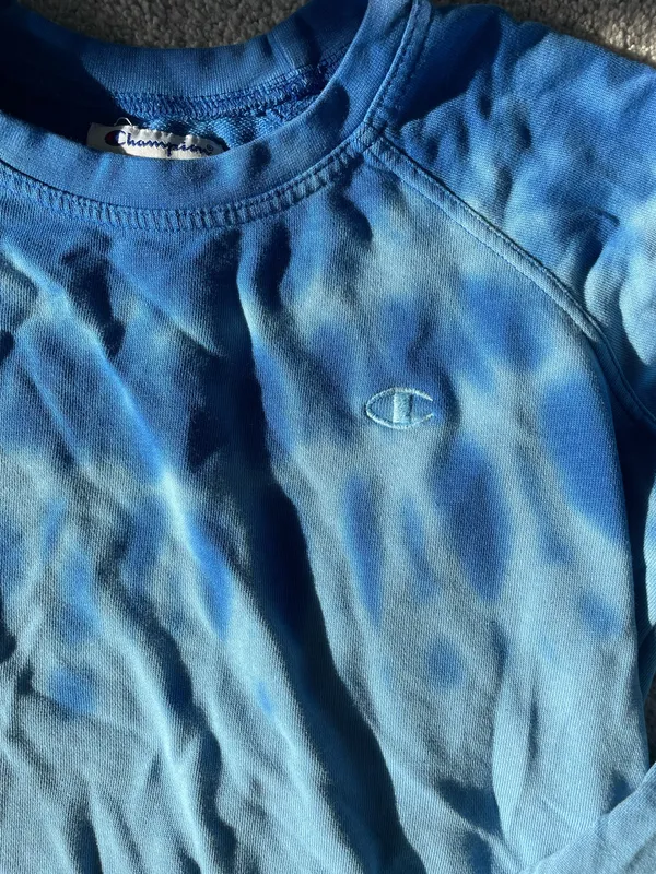 Champion Sweatshirt Crewneck - Image 2