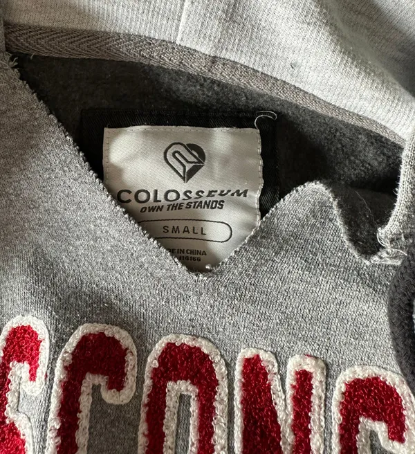 Wisconsin Hoodie Gray - Image 2