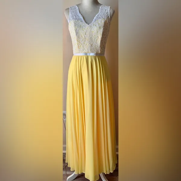 After Six Whimsical Lace Bodice V-Neck Romantic Dress‎ Sz 4 Fairycore Cottage - Image 11