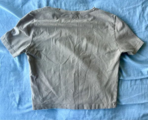 Zara stretchy tan crop tshirt - Image 2