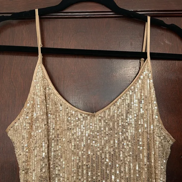 Champagne Sequin Dress - Image 2