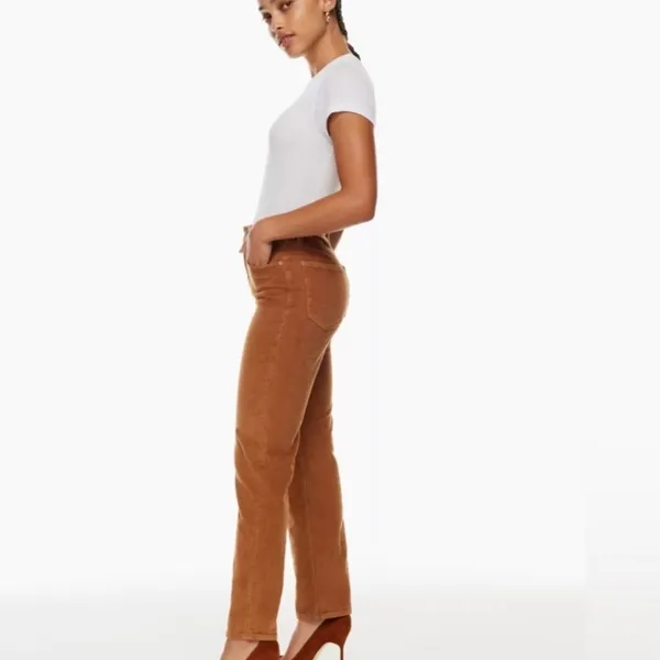ARITZIA The Denim Forum Straight Corduroy High Waisted Tan Pants - Image 5