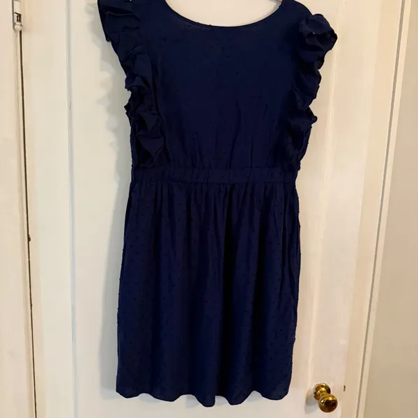 Solersun Womens Navy Blue Swiss Dot‎ Ruffle Sleeve V-Neck Mini Dress Large NWT - Image 6