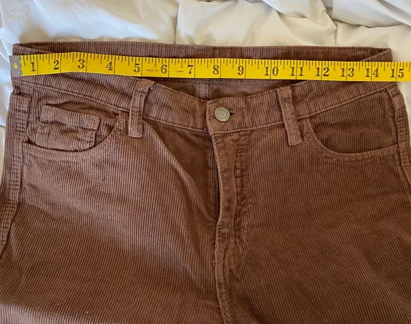 Brandy Melville Corduroy Pants - Image 3
