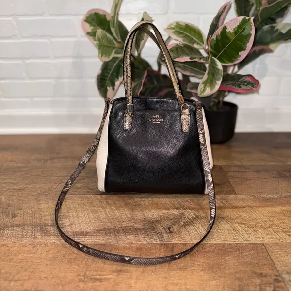 Coach Minetta Snakeskin-Patterned Black and Cream Crossbody Bag - Image 3