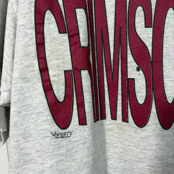 Vintage 90s Alamama Crimson Tide Roll Tide Gray Cropped T-Shirt Large L Football - Image 2