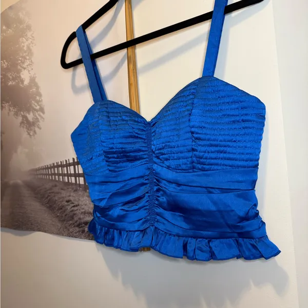 Bog Collective Royal Blue Satin Sweetheart Crop Top Size Large - Image 2