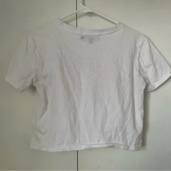 Motel Rocks magic mushrooms crop tee - Image 2