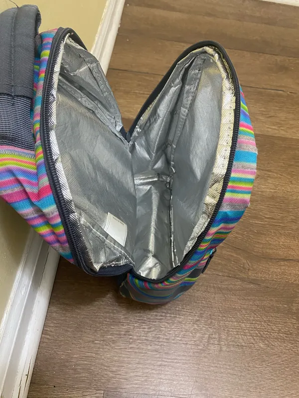 ADIDAS Santiago Insulated Cooler Lunch Bag Mini Backpack, Rainbow Striped - EUC - Image 3