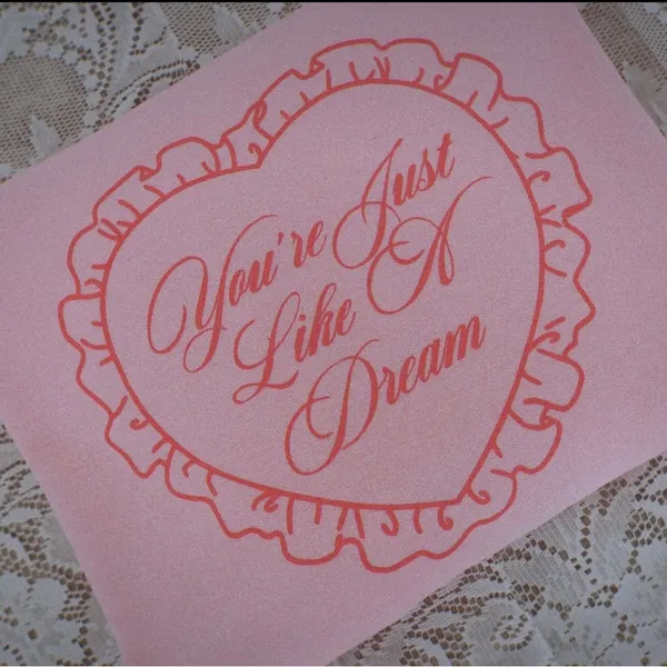Skull house Designs Dream Crew Pink - Image 5