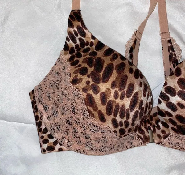 Victoria's Secret << HP!! >> nwot animal print bra - Image 2