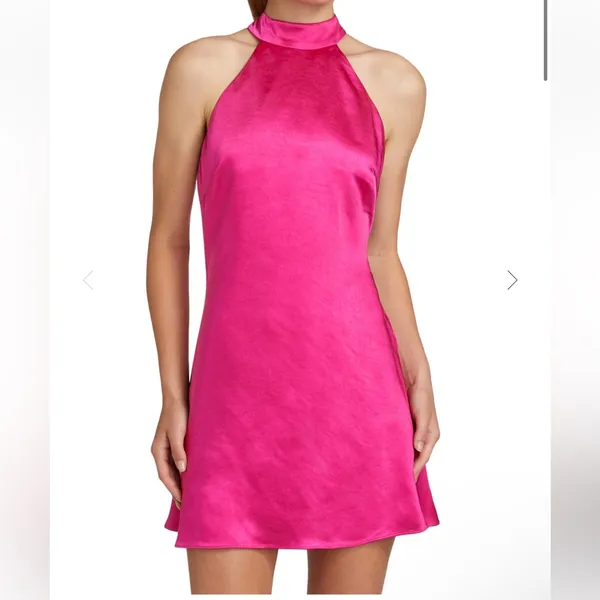 Elliatt x‎ Revolve Elliatt Women's Aria Halter Minidress Large - Image 3