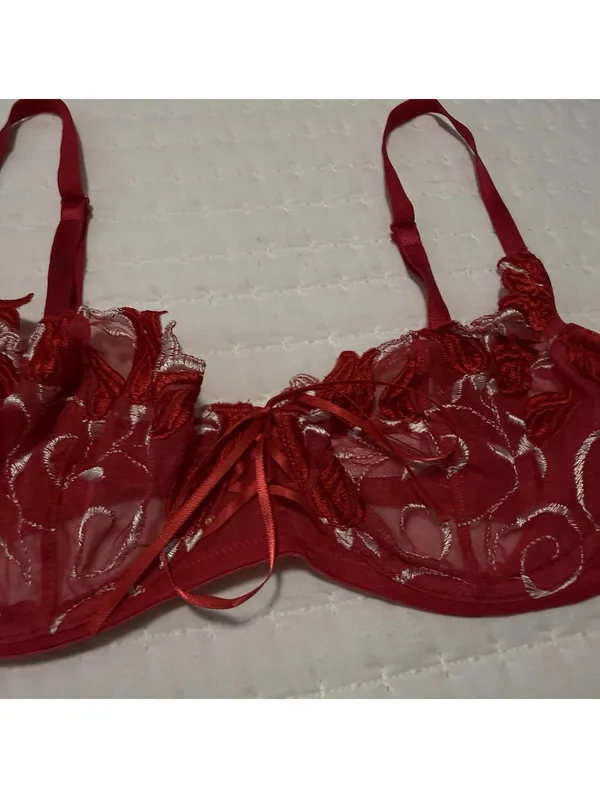 Victoria’s Secret Red Embroidery Mesh Sheer Unlined Bra 34C Underwire - Image 2