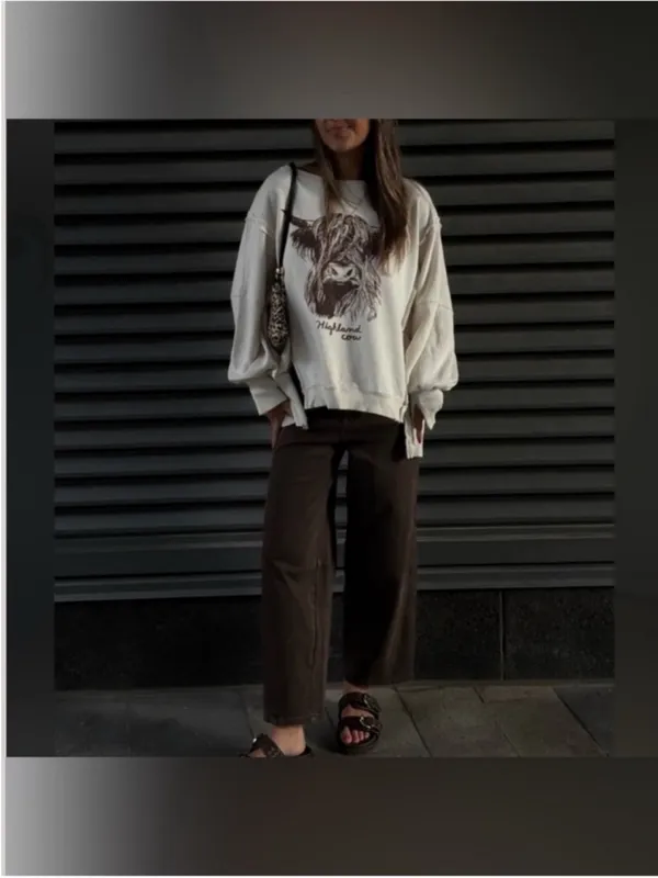 NWOT Free People We The Free Graphic Camden Pullover - highland cow combo - XS - Image 7