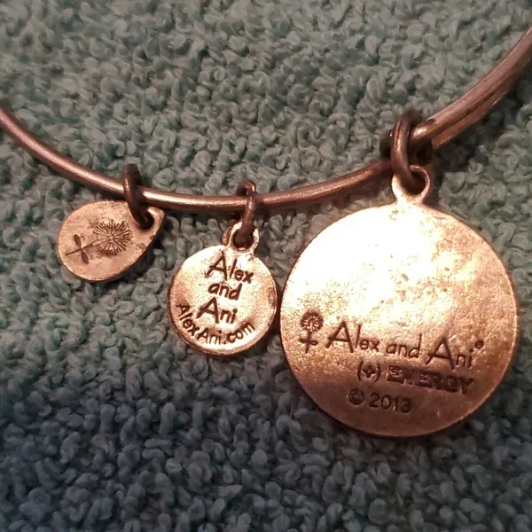 Alex & Ani Bangle Bracelet - Image 4