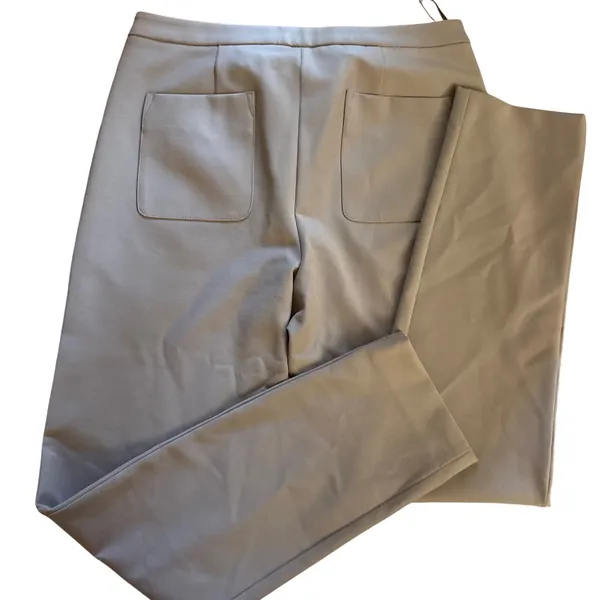 R‎ LABEL The Skinny Stretch Pants In Tan Size Small - Image 5