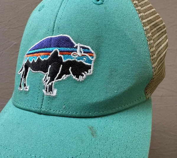 Patagonia Fitz Roy Bison Trucker Hat - Image 5