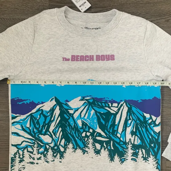 The‎ Beach Boys Mountain Graphic Sweatshirt - Size M - Gray - NWT - Image 6