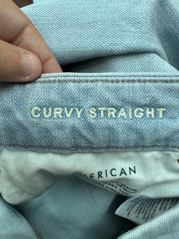 American Eagle Stretch Curvy Straight Jeans Size 12 Short - Image 7