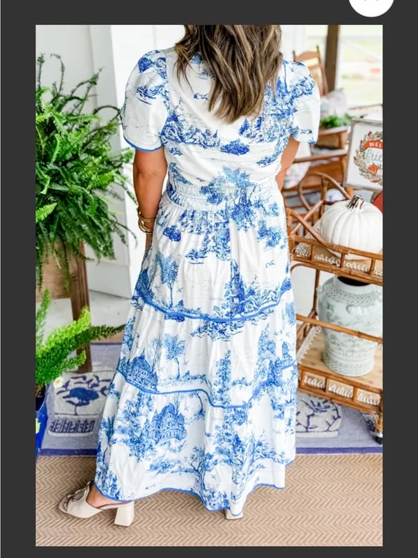 Rosa Clothing Landscape Porcelain Toile Print Flare Maxi Dress Medium New - Image 6
