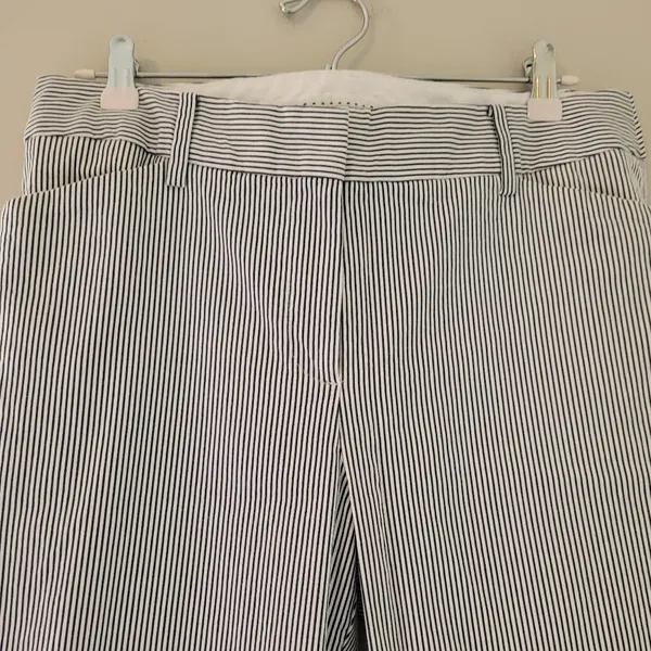 Talbots Navy and White Striped Hampshire Ankle Pants - Image 2