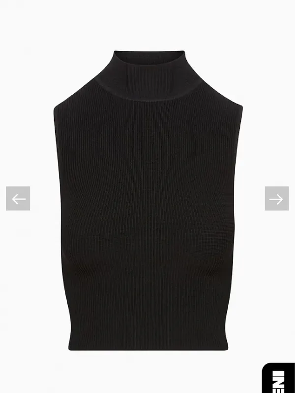 Babaton Aritzia Sculpt Knit Top - Image 6