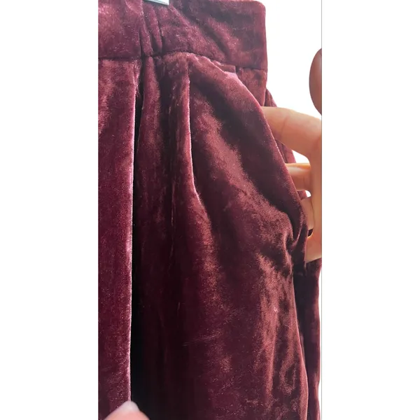 Madewell Velvet Tapered Pleat Pull-On High Rise Pants Burgundy Large - Image 6