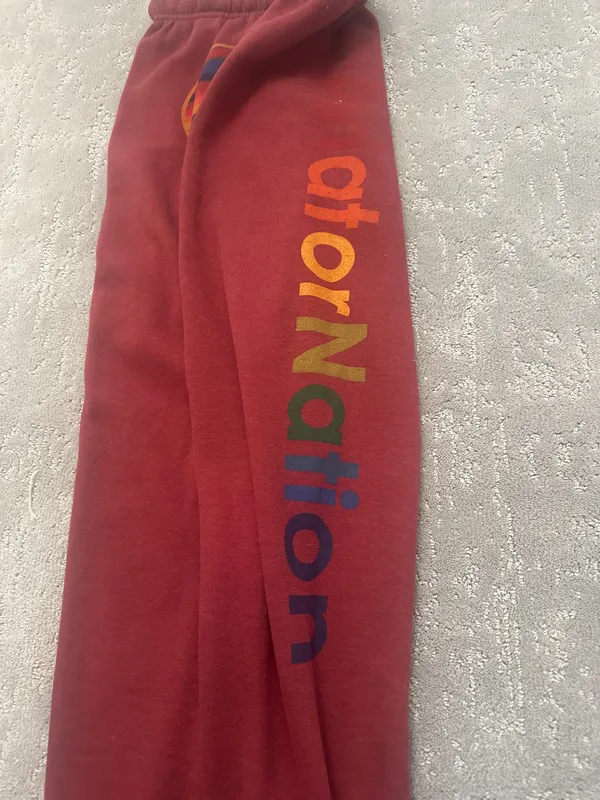 Aviator Nation Sweatpants - Image 2