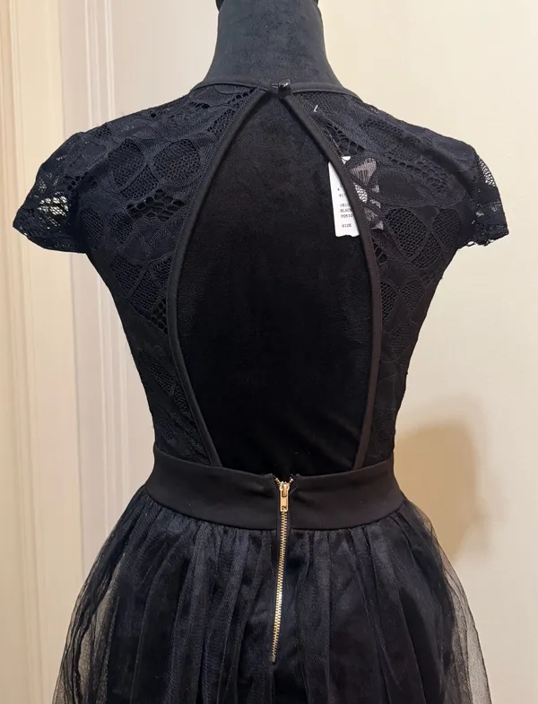 Privy Lace Illusion Tulle Fit & Flare Cocktail Mini Dress - Size S - NWT - Image 8
