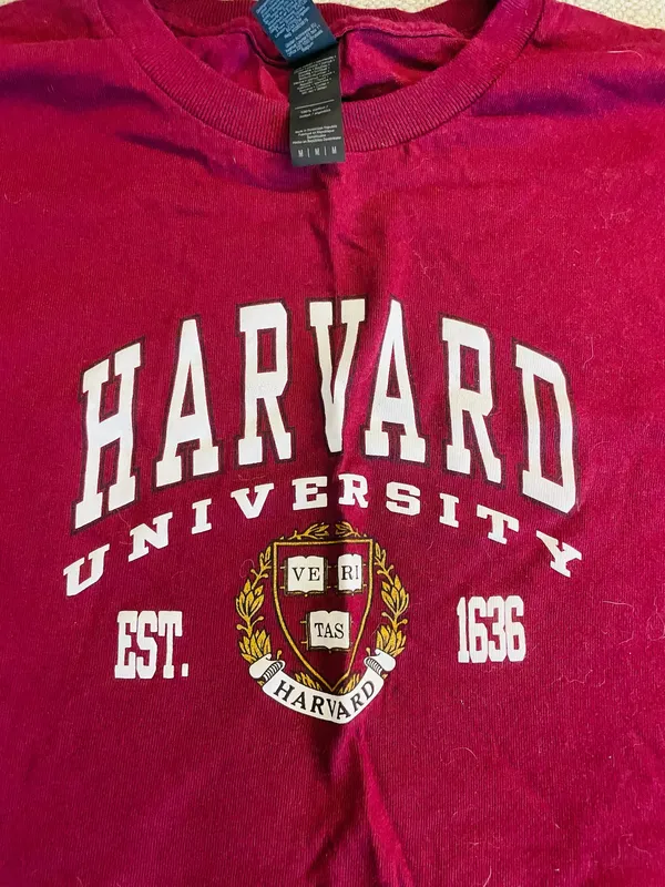 Gildan Women’s Harvard T-shirt - Image 2