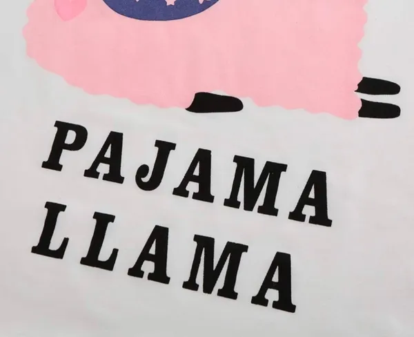 Women Short Sleeve Tee & Shorts Pajama Set Cute Alpaca Llama Sleepwear Small - Image 4