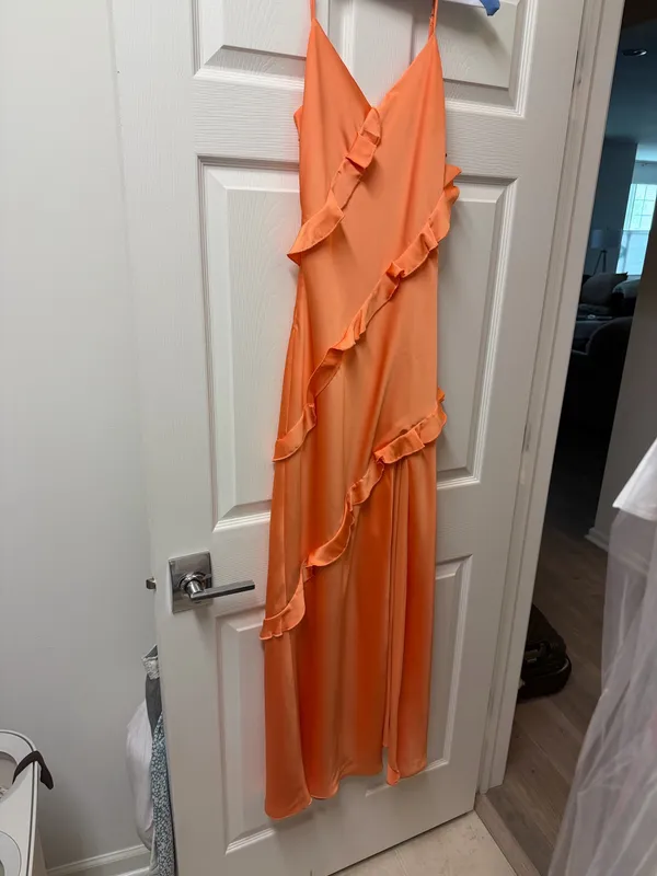 Birdy Grey Apricot Dress - Image 2