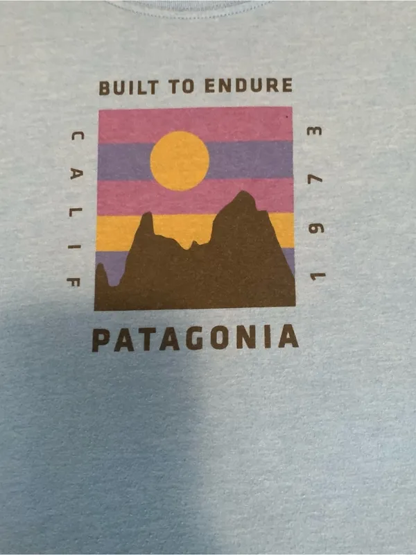 Patagonia Women’s Sky Blue Graphic Short-Sleeve Tee size Medium - Image 2
