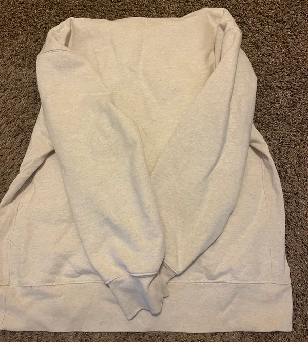Aritzia Hoodie - Image 4