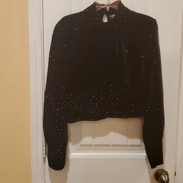 ZARA Velvet sparkling top Size L - Image 2