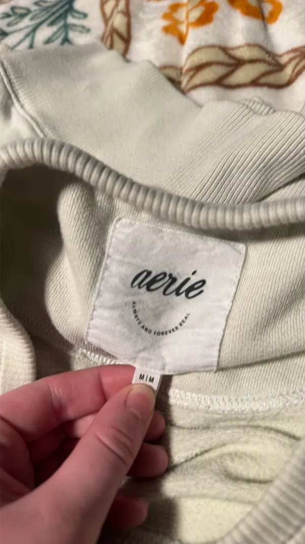 Aerie Crewneck Oversized - Image 3