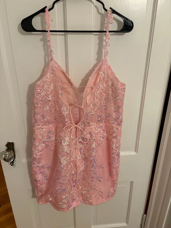 Pink Lace dress Size 16 - Image 4
