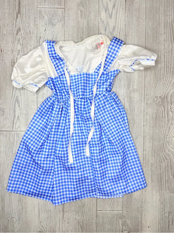 Rubies wizard if Oz Dorthy dress size small Halloween costume cosplay - Image 2
