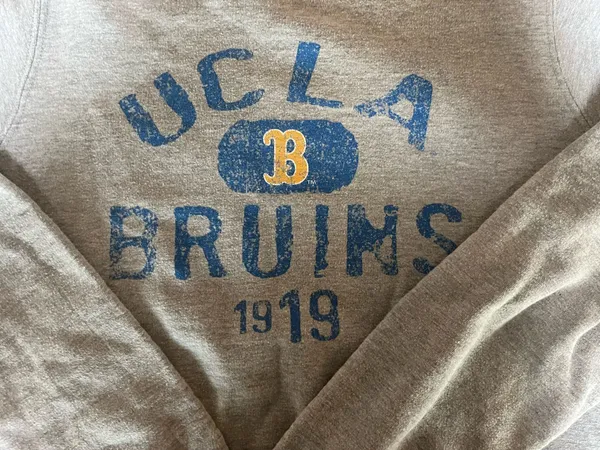 ucla crewneck Gray - Image 2