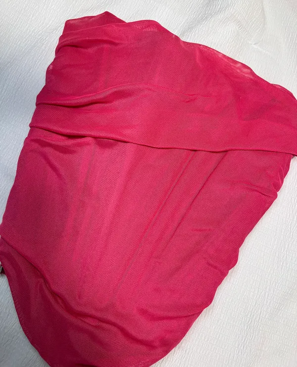 Pink mesh Corset Top - Image 2