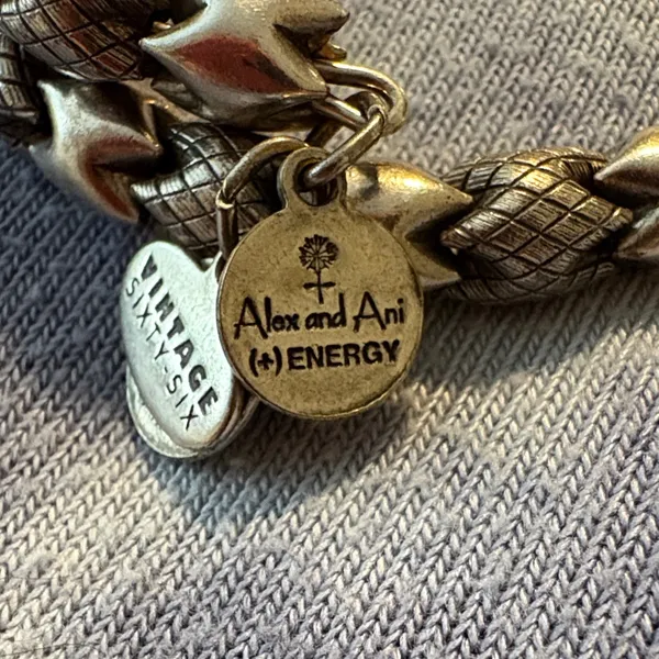 EUC Alex and Ani Vintage 66 Snake Silver Bracelet - Image 4
